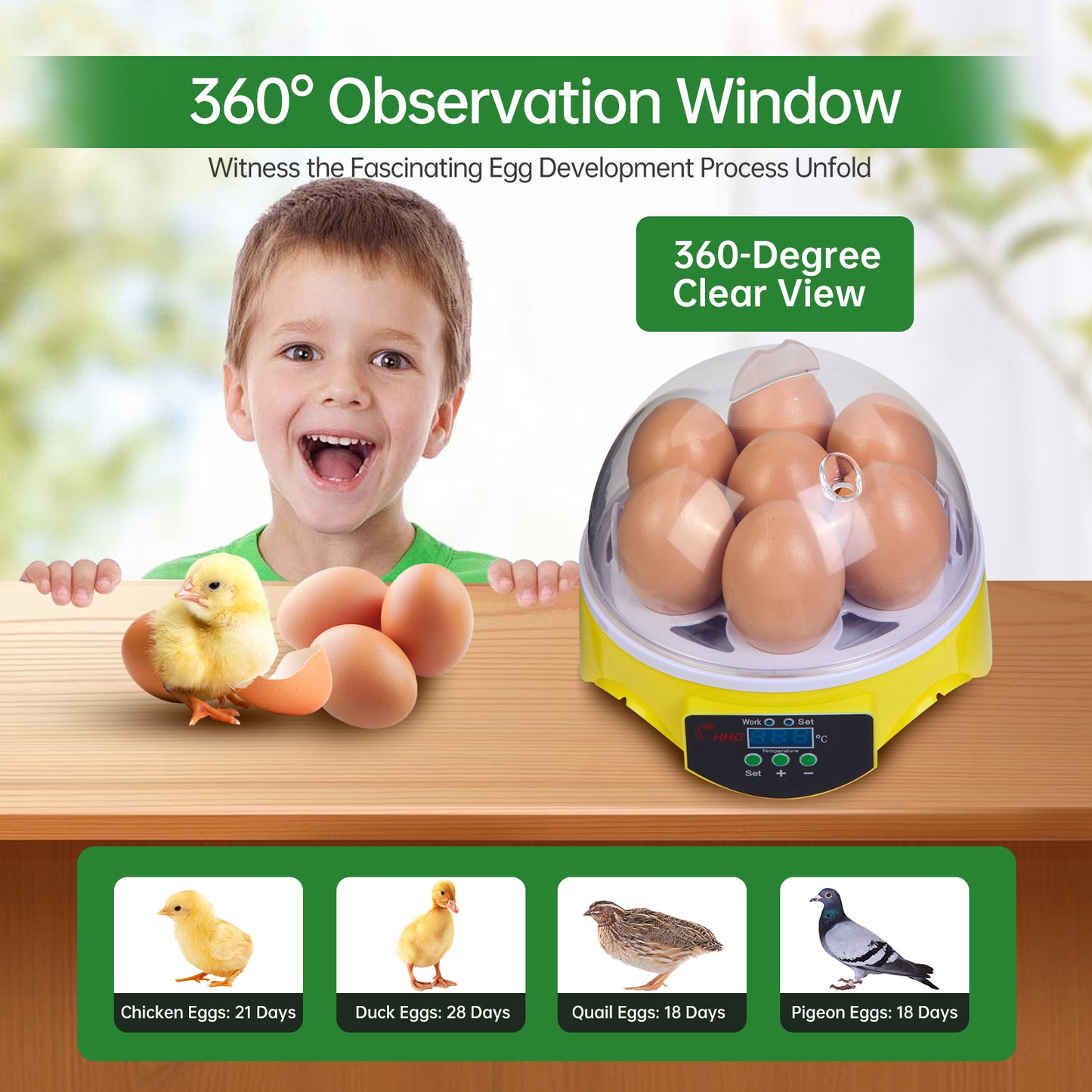 ZEMIRO CHARGE 7-Egg Incubator 360° View Poultry Incubator with Manual Temperature Control for Hatching Chicken, Duck, Goose, Parrot, and Quail Eggs