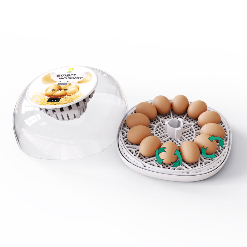 ZEMIRO CHARGE 12 Eggs Incubator for Hatching Eggs with Automatic Egg Turner, Temperature Control, Automatic Water Adding for Hatching Chicken, Goose, Duck, Quail, Pigeon, and Turkeys