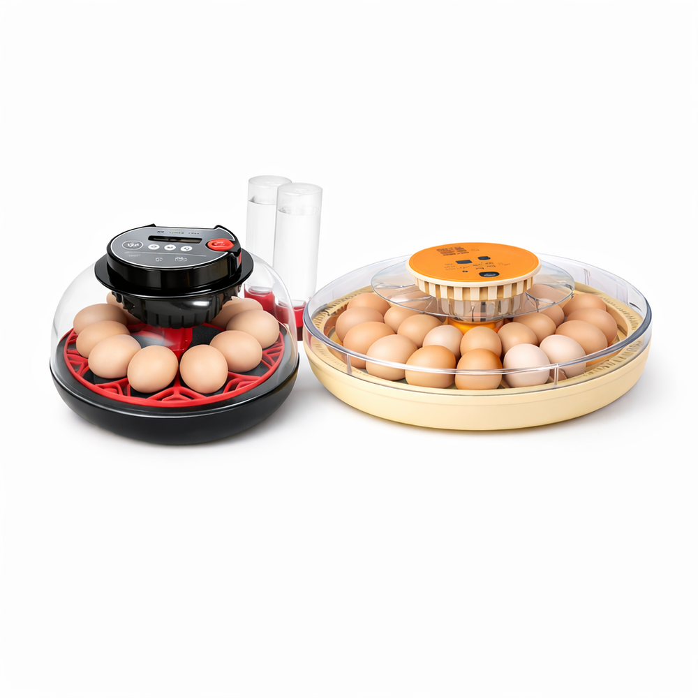 SERIES II (2020-2021)