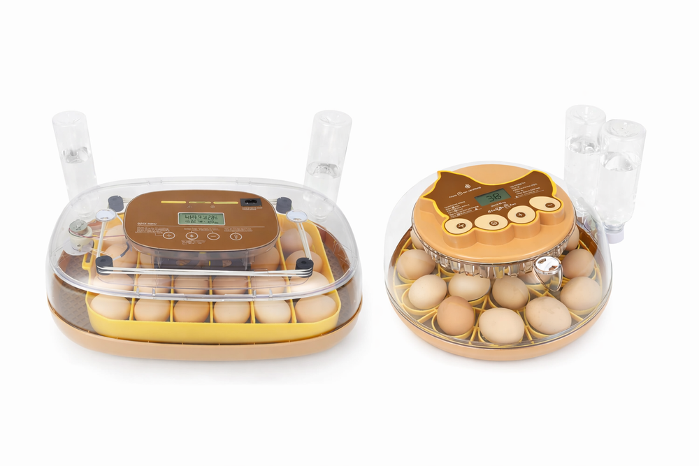 SERIES III (2022-2023)