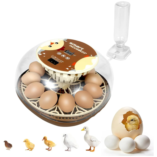 Series I - Simple 12-Egg Incubator for Beginners with Stable Temperature & Humidity and Auto Turning