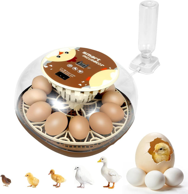 Simple 12-Egg Incubator for Beginners with Stable Temperature & Humidity and Auto Turning
