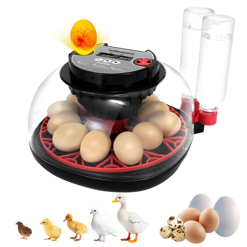 Series II – Smart 12-Egg Incubator for Beginners with Stable Temperature, Adaptive Humidity, Built-in Candler & Auto Turning