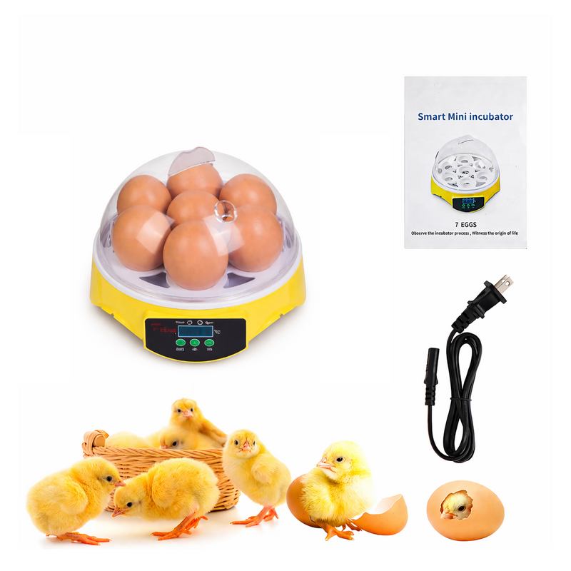 Series I – Simple 7-Egg Incubator for Kids & Beginners with 360° View, Temperature Control & Compact Design
