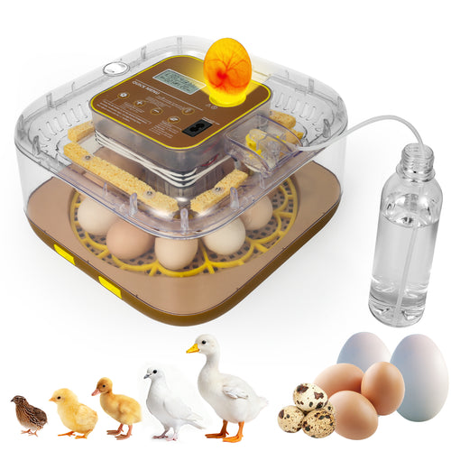 ZEMIRO – Pro 12-Egg Incubator for Beginners & Breeders with Full Automation, Minimal Maintenance, Precision Control & Chick-Safe Design