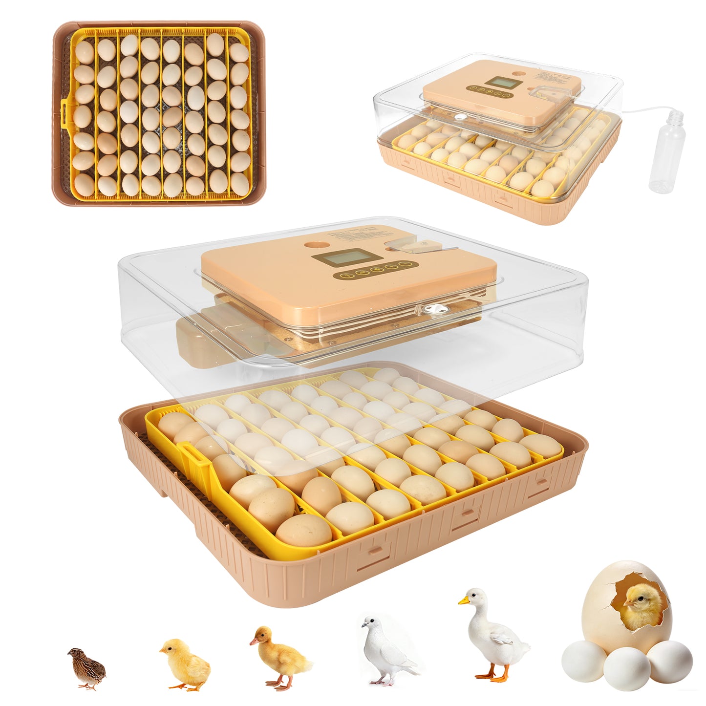 ZEMIRO CHARGE Automatic 56-Egg Incubator for Breeders, Sensor-Based Precise Humidity+Temp Control, Chick Separator, Adjustable Egg Spacing, Custom-Interval Auto Turn+Auto Stop,Preset Incubation Days