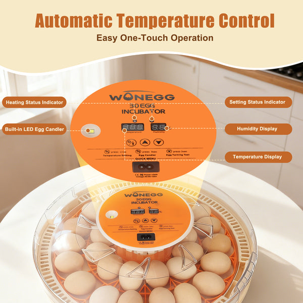 Series II – Smart Core 30-Egg Incubator for Experienced Hatchers with Manual Humidity Control, Auto Turning & Real-Time Monitoring