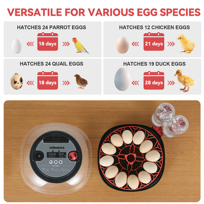 ZEMIRO CHARGE Simple Plus 12-Egg Incubator for Beginners, Full-Stage Adaptive Humidity (Dual-Bottle) & Temp Control, Auto Egg Turn, Real-Time Display, Candler for Hatching Poultry Eggs