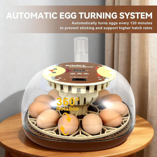 Series I - Simple 12-Egg Incubator for Beginners with Stable Temperature & Humidity and Auto Turning
