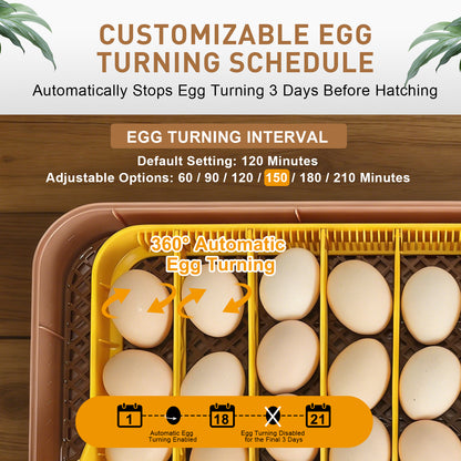 ZEMIRO CHARGE Automatic 56-Egg Incubator for Breeders, Sensor-Based Precise Humidity+Temp Control, Chick Separator, Adjustable Egg Spacing, Custom-Interval Auto Turn+Auto Stop,Preset Incubation Days