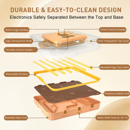ZEMIRO CHARGE Automatic 56-Egg Incubator for Breeders, Sensor-Based Precise Humidity+Temp Control, Chick Separator, Adjustable Egg Spacing, Custom-Interval Auto Turn+Auto Stop,Preset Incubation Days