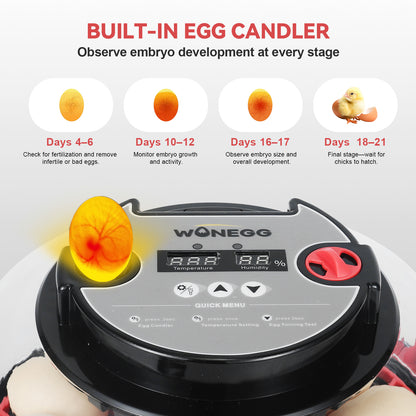 ZEMIRO CHARGE Simple Plus 12-Egg Incubator for Beginners, Full-Stage Adaptive Humidity (Dual-Bottle) & Temp Control, Auto Egg Turn, Real-Time Display, Candler for Hatching Poultry Eggs