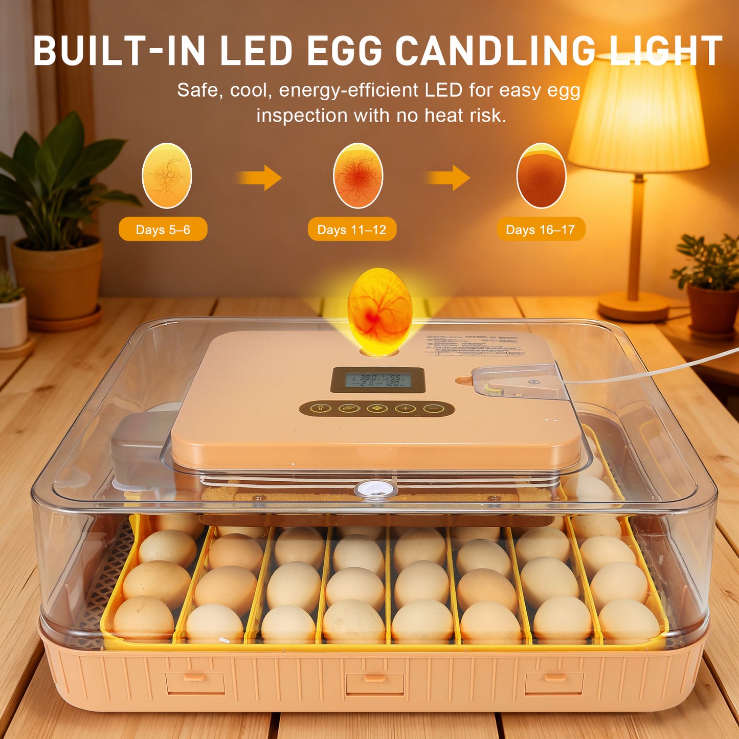 ZEMIRO CHARGE Automatic 56-Egg Incubator for Breeders, Sensor-Based Precise Humidity+Temp Control, Chick Separator, Adjustable Egg Spacing, Custom-Interval Auto Turn+Auto Stop,Preset Incubation Days