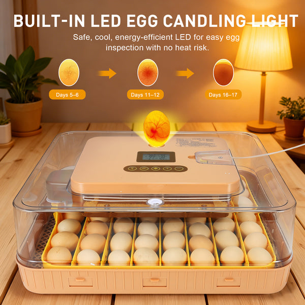 Series IV – Pro 56-Egg Incubator for Professionals & Breeders with Full Automation, Minimal Maintenance, Precision Control & Chick-Safe Design