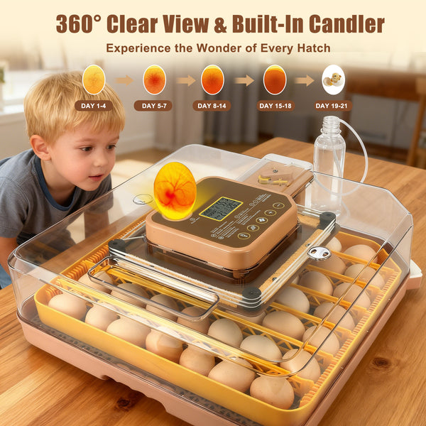 Series IV – Pro 48-Egg Incubator for Professionals & Breeders with Full Automation, Minimal Maintenance, Precision Control & Chick-Safe Design